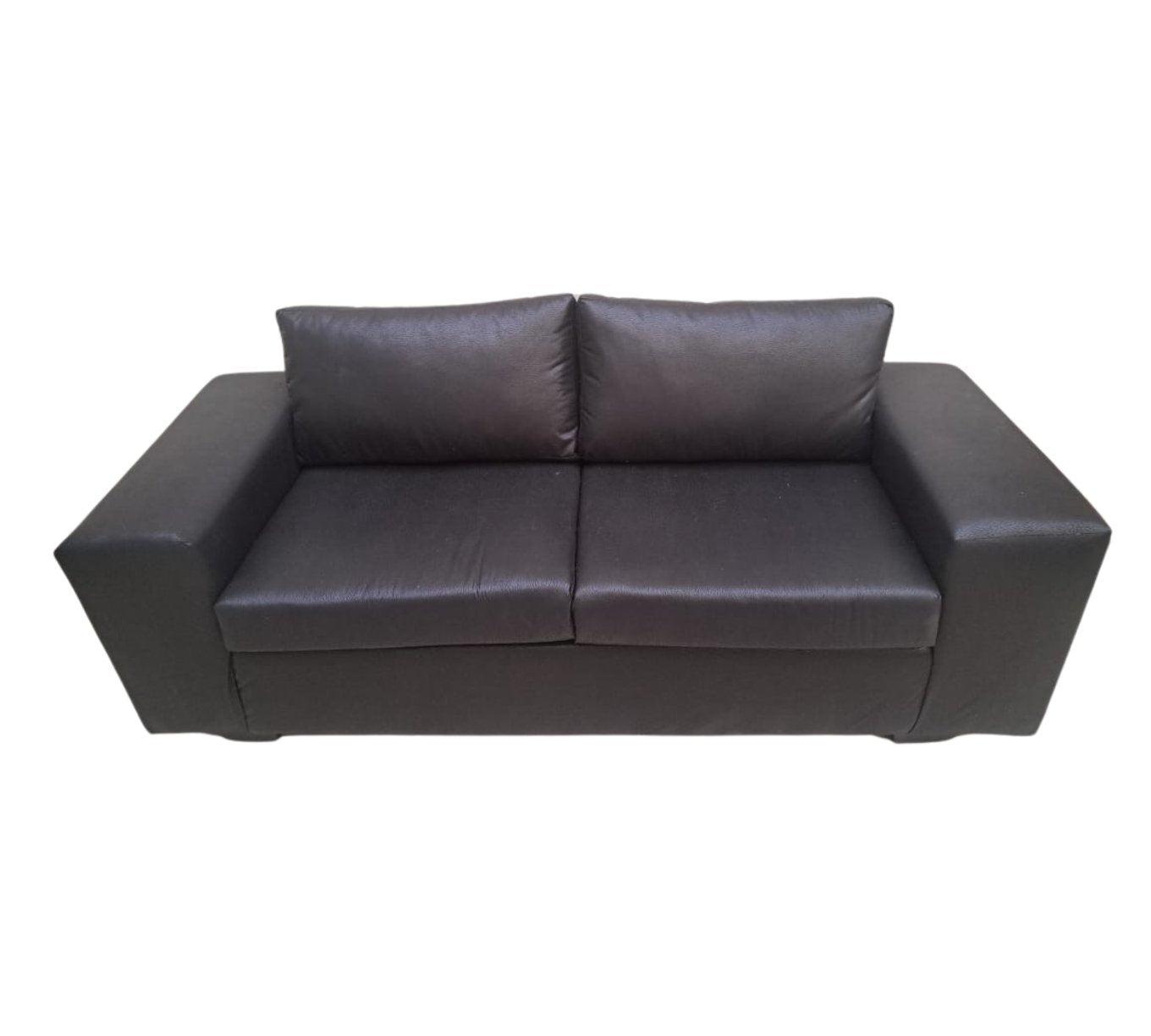 Lion Two Seater Couch - That Couch Place