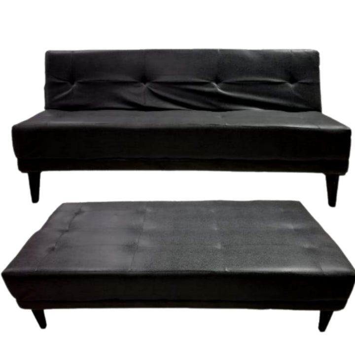 Sleek Sleeper Couch - That Couch Place