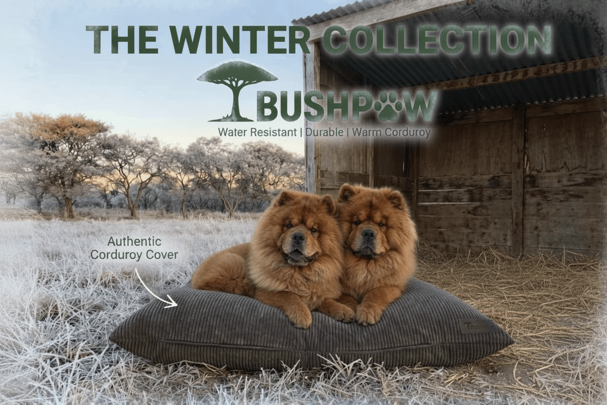Two dogs on a cushion with 'Bushpaw' branding and text about their winter collection.