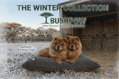 Two dogs on a cushion with 'Bushpaw' branding and text about their winter collection.