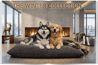 Two dogs on a pillow in a room with a fireplace and city view.