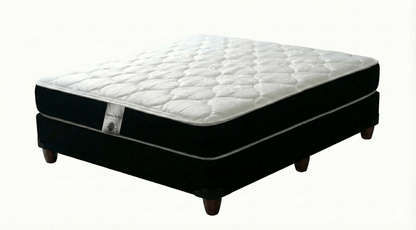 Mattress with a black box spring on a white background That Couch Place