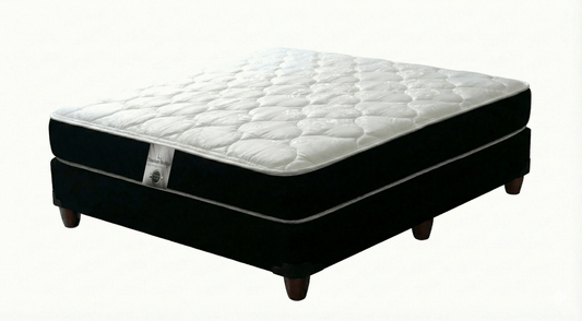 Mattress with a black box spring on a white background That Couch Place