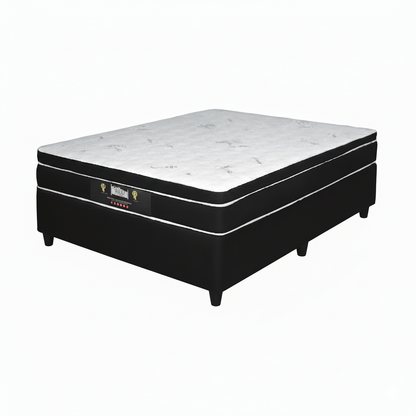Bamboo Pillow Top Mattress with black frame on a white background. That Couch Place