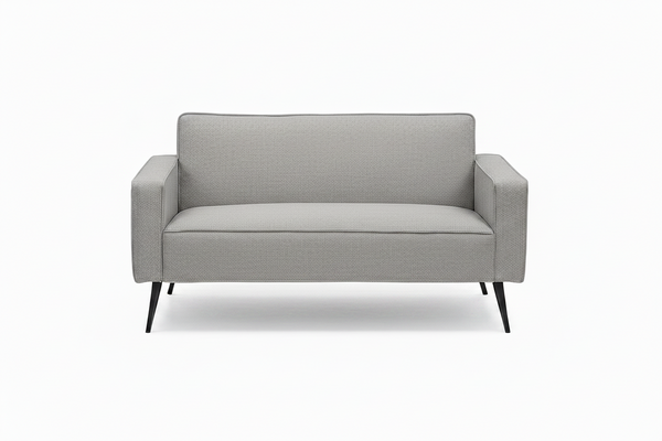Cozy 2 Seater Couch - Luxurious & Comfortable Sofa – That Couch Place