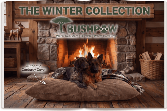 Two dogs on a cushion in front of a fireplace with 'Bushpaw' branding.