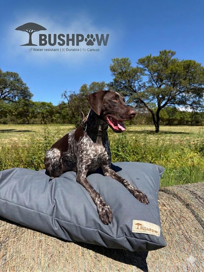Dog sitting on a Bushpow dog bed in an outdoor setting with trees and blue sky.