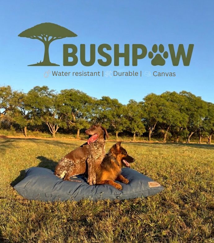 Two dogs on a blue dog bed with 'BUSHPAW' branding in an outdoor setting.