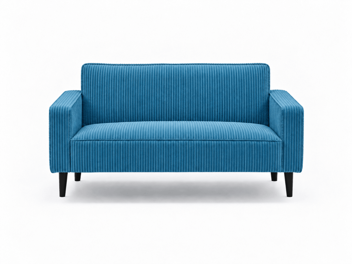 Cozy Two Seater Comfort Couch - That Couch Place