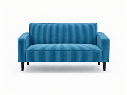 Cozy Two Seater Comfort Couch - That Couch Place