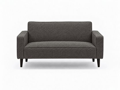 Cozy Two Seater Comfort Couch - That Couch Place