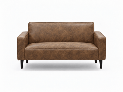 Cozy Two Seater Comfort Couch - That Couch Place