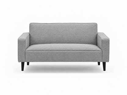 Cozy Two Seater Comfort Couch - That Couch Place