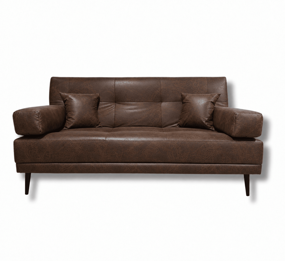 Double Sleeper Sofa Bed Sleeper Couch - That Couch Place