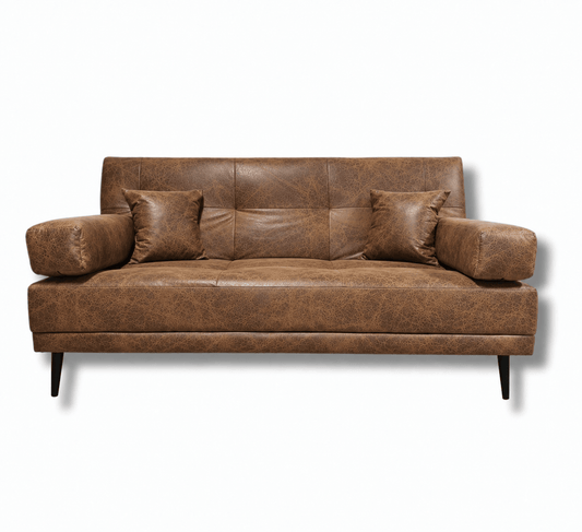 Double Sleeper Sofa Bed Sleeper Couch - That Couch Place