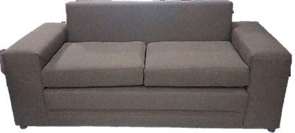 Two seater store sleeper couch